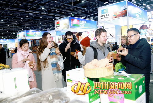 第二屆遂寧進出口商品交易會暨2024年“蜀里安逸”遂寧迎春購物月啟動，日用百貨點亮消費新熱潮